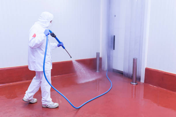 Best Dumpster Area Cleaning  in Edinburg, IL